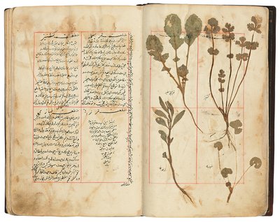 Hassan Bin Baqir Bin Jarrah：Gulzar Al-Rayahin、Qajar Iran 作： Persian School