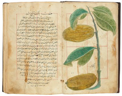 Hassan Bin Baqir Bin Jarrah：Gulzar Al-Rayahin、Qajar Iran 作： Persian School