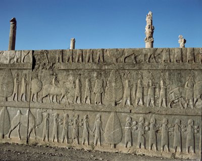 ダリウス1世に贈り物をする従順な民族...アパダナの東階段のレリーフ、前6世紀 作： Persian School