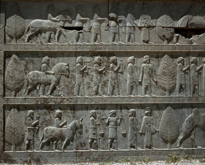 ダリウス1世に贈り物をする従順な民族 アパダナの東階段のレリーフ 前6世紀 作： Persian School