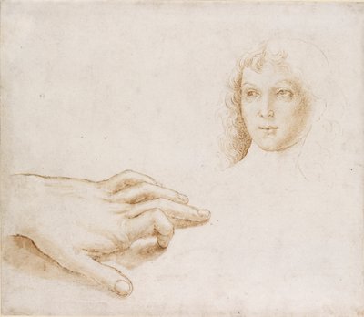 頭と手の研究、15世紀後半から16世紀初頭 作： Perugino
