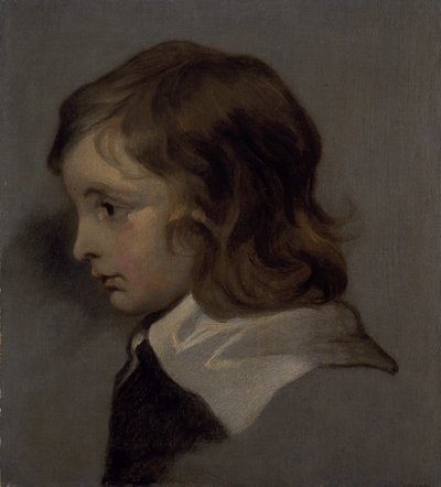 少年の頭部（油彩・キャンバス 作： Peter (follower of) Lely
