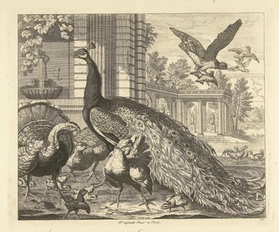 庭の列柱の孔雀と七面鳥 別の鳥（シリーズタイトル） 作： Peter Casteels (III)
