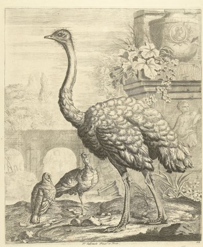 古代遺跡のある庭園のダチョウと七面鳥 別の鳥（シリーズタイトル） 作： Peter Casteels (III)
