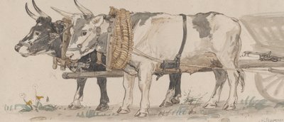 カートを引く 2 頭の牛、1874 年。 作： Peter Christian Thamsen Skovgaard