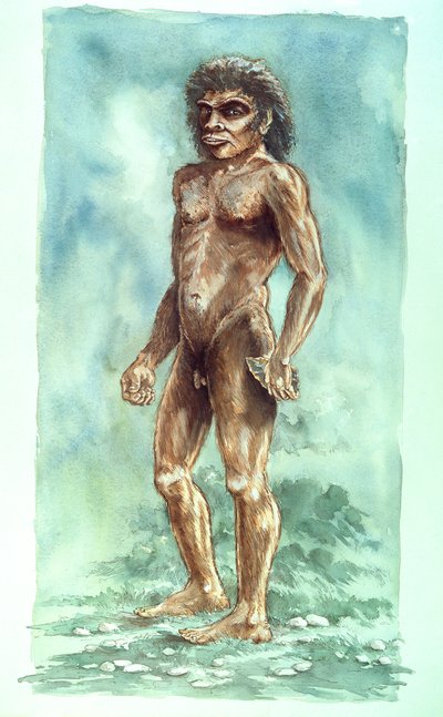 ボックスグローブマン、先史時代、1990～2010年 作： Peter Dunn