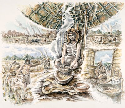 新石器時代の穀物生産、c1990-2010 作： Peter Dunn