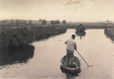 ノーフォークブロードの湿地干し草、生命と景観の四分の一、1886年頃 作： Peter Emerson und Thomas Goodall