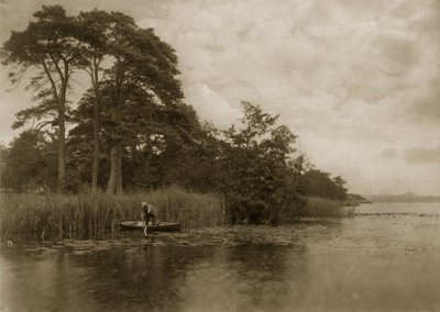 パイクの幽霊、1886年頃 作： Peter Emerson und Thomas Goodall