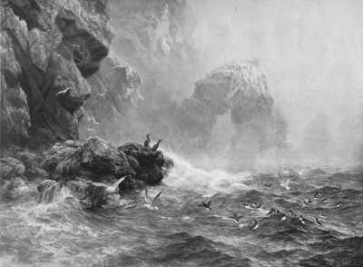 見過ごされているのは聞こえるが、波と海鳥の鳴き声がラッシングする場所、c1880、1912 作： Peter Graham