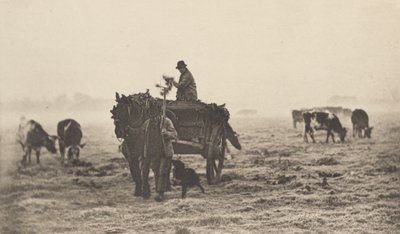 冷ややかな朝 作： Peter Henry Emerson