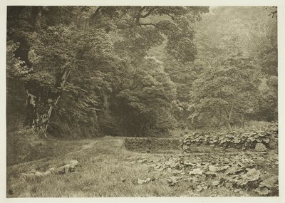ベレスフォード・デールの静かな隠れ家 作： Peter Henry Emerson