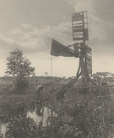 廃墟と化した水車（1886年）（写真 作： ピーター・ヘンリー・エマーソン
