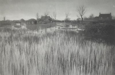 荒れ果てた海岸 作： Peter Henry Emerson