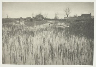 険しい海岸 作： Peter Henry Emerson