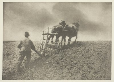 固い引き (サフォーク) 作： Peter Henry Emerson