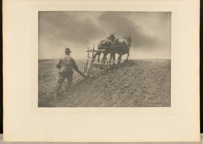 堅い引き。[サフォーク] 作： Peter Henry Emerson