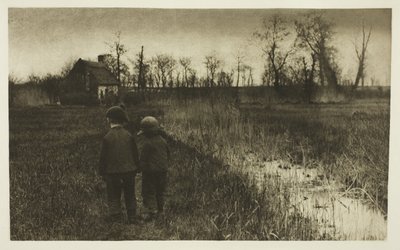 道のヒキガエル: ノーフォークの早春 作： Peter Henry Emerson