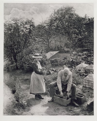 老人と彼の娘ガーデニング 作： Peter Henry Emerson