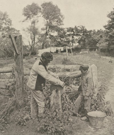 砥石-サフォーク農場、1888年。 作： Peter Henry Emerson