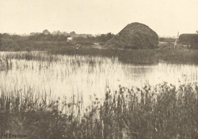秋の洪水 作： Peter Henry Emerson