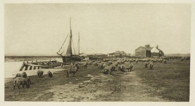 ブラックショア、リバー ブライス (サフォーク) 作： Peter Henry Emerson