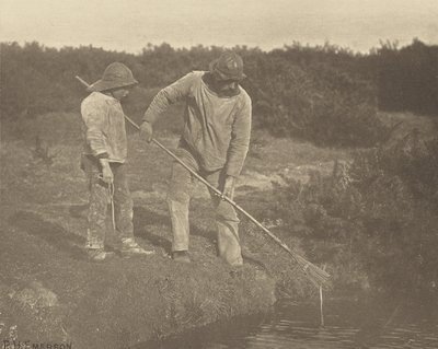 うなぎ＝サフォーク海域でのうなぎ狩り 作： Peter Henry Emerson