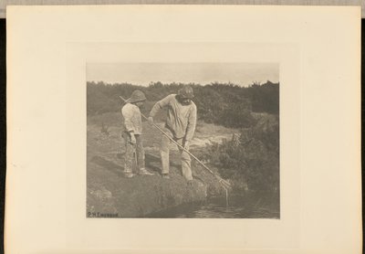うなぎ＝サフォーク海域でのうなぎ狩り 作： Peter Henry Emerson