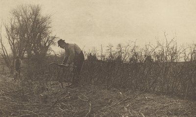 サフォークのフェンシング 作： Peter Henry Emerson