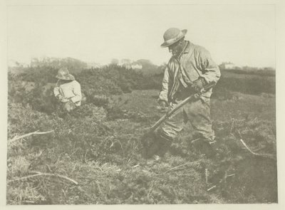 サフォークコモンのファーズカット 作： Peter Henry Emerson