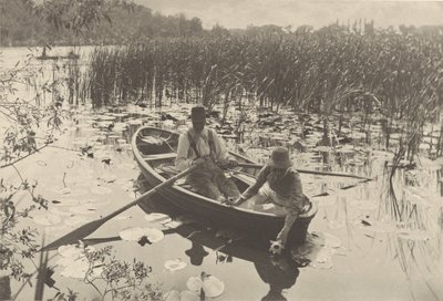 睡蓮を集める 作： Peter Henry Emerson