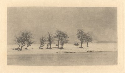 節くれだったとげの木 作： Peter Henry Emerson