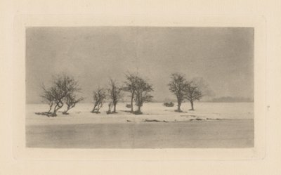 節くれだったとげの木 作： Peter Henry Emerson