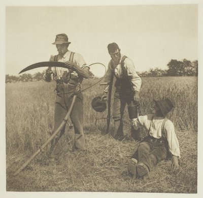 大麦の収穫 (サフォーク) 作： Peter Henry Emerson