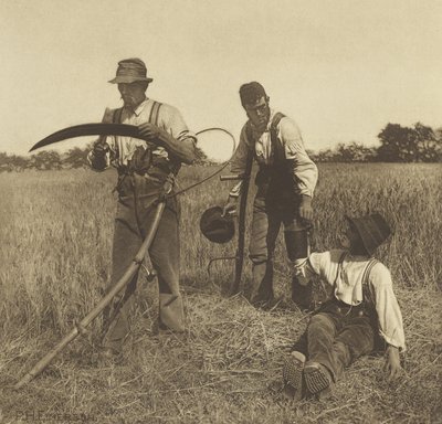 大麦収穫、サフォーク、1888年（グラビア） 作： Peter Henry Emerson