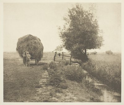 ヘイゼル (ノーフォーク) 作： Peter Henry Emerson