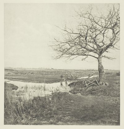 葉のない行進曲 (サフォーク) 作： Peter Henry Emerson