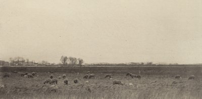 北海の沼地 作： Peter Henry Emerson