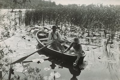 ノーフォーク・ブロッズの生活と風景」からのプラチナ・プリント40枚のうちの1枚 作： Peter Henry Emerson
