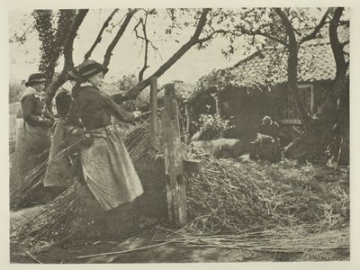 Osier-Peeling (ノーフォーク) 作： Peter Henry Emerson
