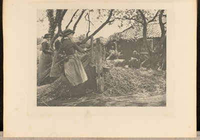 オシア＝ピーリング。[ノーフォーク]]。 作： Peter Henry Emerson