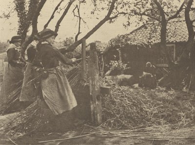 オシア＝ピーリング。[ノーフォーク]]。 作： Peter Henry Emerson