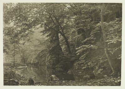 「パイクプール」（下から） 作： Peter Henry Emerson