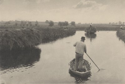 湿地干し草の定量化 作： Peter Henry Emerson