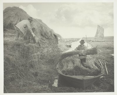 葦をなめる 作： Peter Henry Emerson