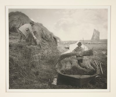 葦をなめる 作： Peter Henry Emerson