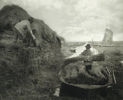 葦のリッキング」1885年頃（プラチナ・プリント 作： Peter Henry Emerson