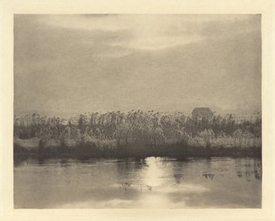 霧氷の結晶 作： Peter Henry Emerson