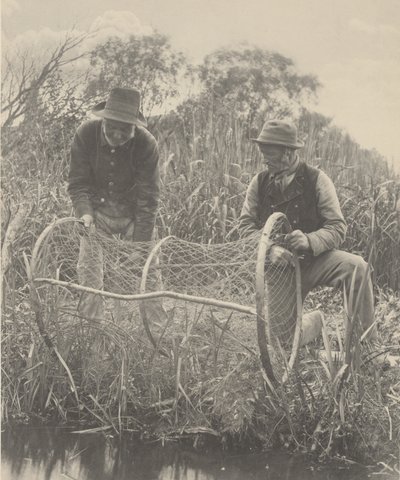バウネットのセットアップ 作： Peter Henry Emerson