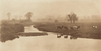 沼地の羊 [牛のいる風景] 作： Peter Henry Emerson